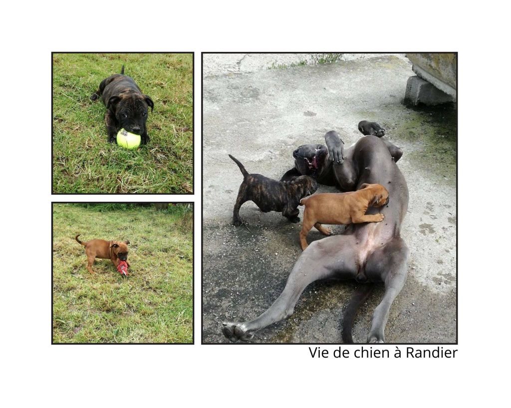 Photos diverses 