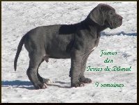 James des Terres de Dâmal