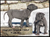 Jeager des Terres de Dâmal
